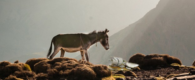 jumentinho_alabastro